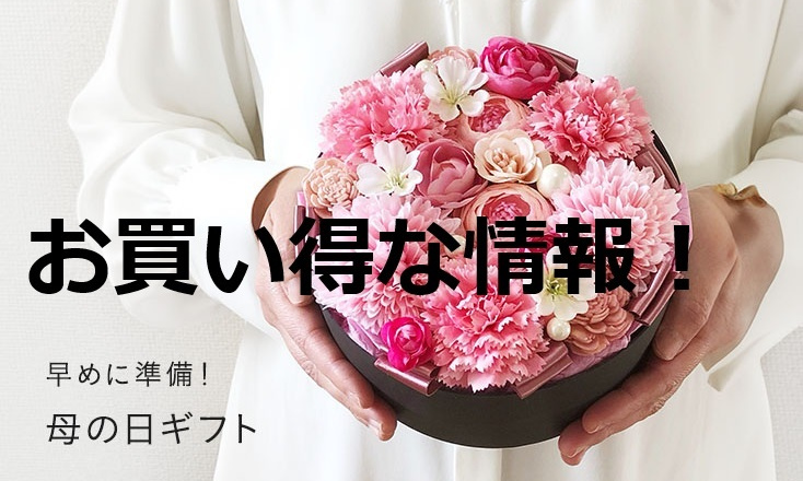 キャンペーン、最新情報！